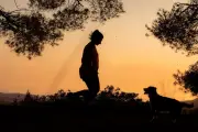 Canicule dans le Var : vigilance orange reconduite mercredi
