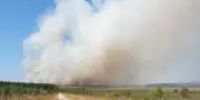 Canicule et incendies : 2 700 hectares brûlés en Belgique, le feu des Landes fixé