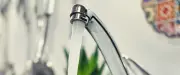Canicule : l'eau du robinet reste-t-elle potable quand il fait très chaud ?