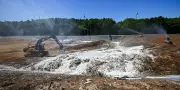 Canicule : les équarrisseurs débordés par les cadavres de volailles