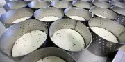 Canicule : l'inquiétude des producteurs de fromages
