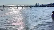 Canicule sous-marine en Méditerranée : des eaux à 28 °C au Grau-du-Roi
