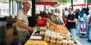 Canicule : œufs plus petits et moins nombreux dans les élevages