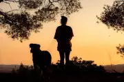 Canicule : Var et Alpes-Maritimes en vigilance orange, jusqu'à 40 °C
