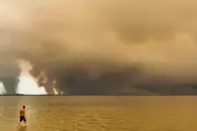 Canicules et incendies : et si la nature n'était pas si inerte ?