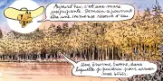 Catherine Meurisse s'encabane à Walden, sur les traces de Thoreau