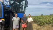 Cave de Saint-Bauzille : la nouvelle norme climatique