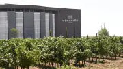 Cave d'Héraclès : dix licenciements économiques envisagés