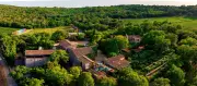 Chais et chefs-d'œuvre : l'art s'invite dans le vignoble