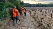 Chasse dans l'Hérault : Max Alliès appelle au calme après les propos de Sandrine Rousseau
