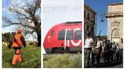 Chasse, train à la demande, Libération : l'actu régionale