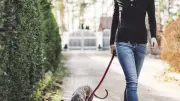 Chili : une réalisatrice meurt percutée par un chauffard en fuite