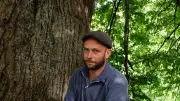 Châtaigniers face au climat : la philosophie comme guide