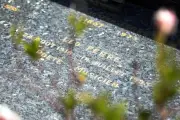 Cimetière de Monaco : les stars qui y reposent