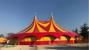 Cinéma en plein air et cirque Olympia à Saint-Jean-du-Bruel