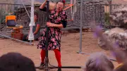 Cirque et musique aux caves d'Entre Deux Monts cet été