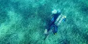 Climat : les mers européennes surchauffent