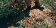 Climat : plus de 140 000 sinistrés déclarés en France
