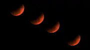 Éclipse lunaire nocturne : un phénomène rare à observer