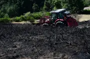 Éco-anxiété des agriculteurs : un mal qui se répand