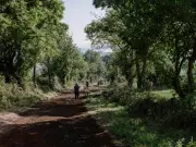 Compostelle solo : la rando, voie d'émancipation féministe