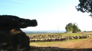 Conférence sur le roquefort à Saint-Rome-de-Tarn