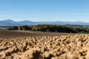 COP17 désertification : ouverture à Oulan-Bator, la France en retrait