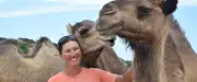 Coralie Le Meur, la Frontignanaise qui dresse des dromadaires dans le monde