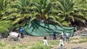 Corée : un policier soupçonné de 9 disparitions à Jeju