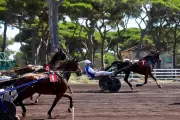 Coulisses de l'hippodrome d'Hyères : plongée dans l'univers des courses