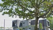 Coups de feu lors d'élections professionnelles chez Nicollin