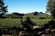 Côtes-du-Rhône Villages 2026 : nos 5 coups de cœur de l'été