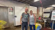 Culture Marine à Vendres : la conchyliculture de la mer à l'étal