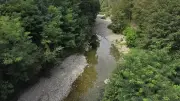 Cyanobactéries dans le Galeizon : la commune appelle à la prudence