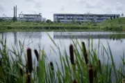 Datacenters : un enjeu clé des élections de mi-mandat