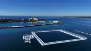 Dauphins de Marineland : l'option des sanctuaires marins s'éloigne