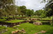 Découverte exceptionnelle de 17 statues de Bouddha en or au Sri Lanka