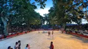 Dernier toro-piscine de l'été aux arènes d'Aramon
