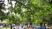 Dernière guinguette de l'été au Jardin de la Vène le 5 septembre