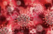 Des virus créés par IA : espoir médical et crainte d'armes biologiques