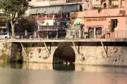 Deux cygnes orphelines repeuplent le lac de Breil-sur-Roya