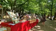 Dimanche 9 août : marchés, concerts et déambulations dans le Gard