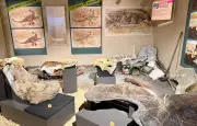 Dinosaures d'Angeac : un futur musée à l'horizon 2030