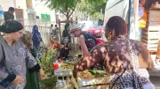 Distribution alimentaire au Mas de Mingue : plus de 3 tonnes de fruits et légumes