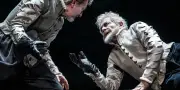 Don Diègue dans Le Cid : Didier Sandre incarne un héros affaibli mais droit