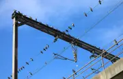 Dordogne : deux incendies, un pigeon et la foudre en cause