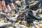 Dépôt sauvage en forêt : le maire identifie l'auteur et obtient le nettoyage