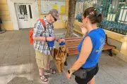 Draguignan : Didier, malvoyant, adopte Vox, son chien guide