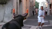Drame en Espagne : un jeune de 21 ans meurt lors d'un lâcher de vachettes