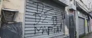 DZ Mafia : Mehdi Laribi, fondateur, arrêté en Algérie